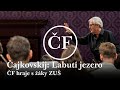 Capture de la vidéo Čajkovskij: Labutí Jezero (Petr Altrichter & Společný Orchestr Filharmoniků A Žáků Zuš)