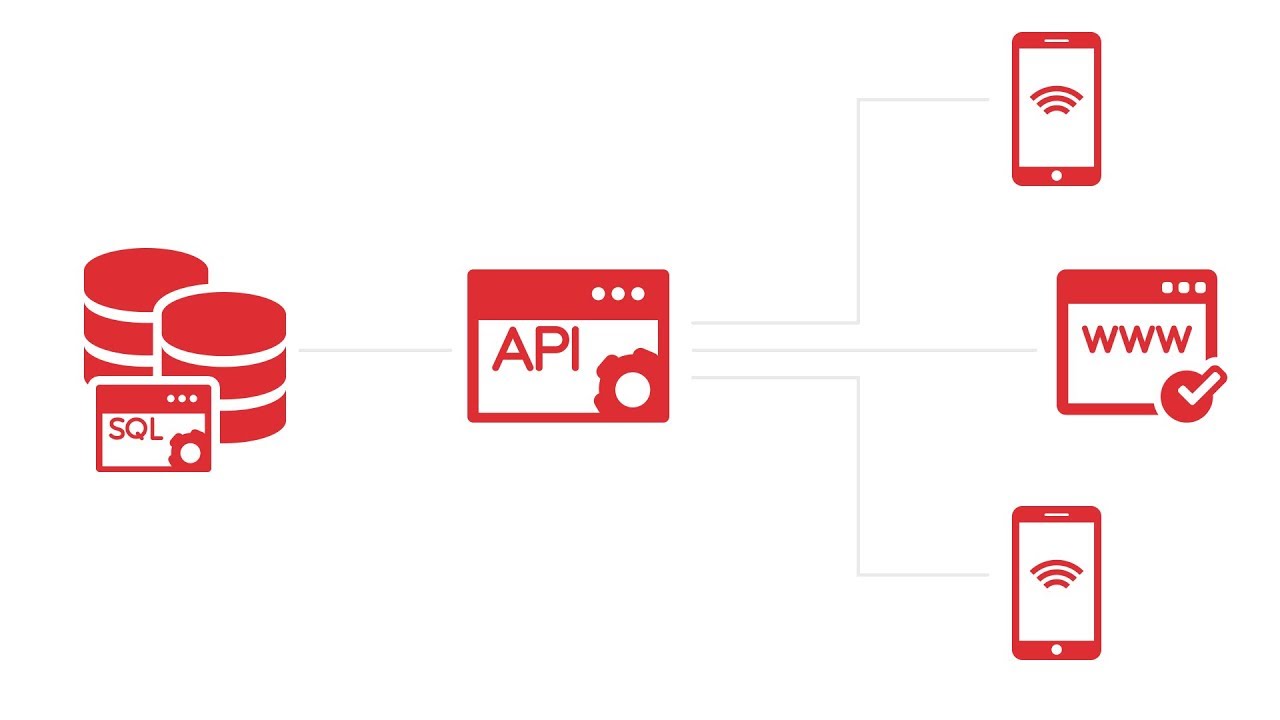 API. Solid c#. Solid API. Encapsulation in c#. 404 api