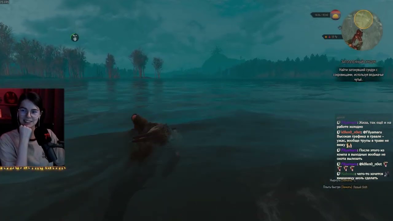 Стрим [The Witcher 3: Wild Hunt] #26