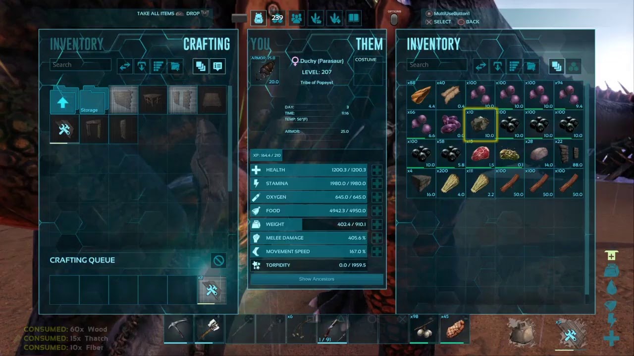 Ark Hardcore No Flyers