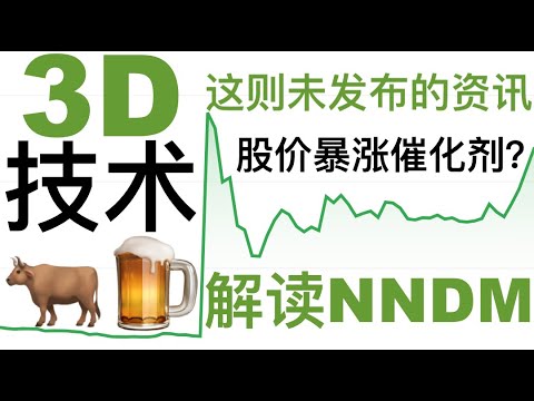 第100期「幂的暴涨股」100期视频一定要献给最妖的股票----NNDM | 3D打印技术没什么大不了？为何ARK的木头姐如此青睐？| 这个未发布新闻会成为暴涨催化剂？| NNDM Stock