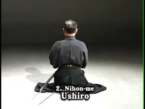 iaido: Performing the znkr seitei iaido 1-12