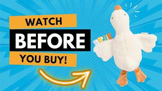 Honest Review of This Huggable Lovey!