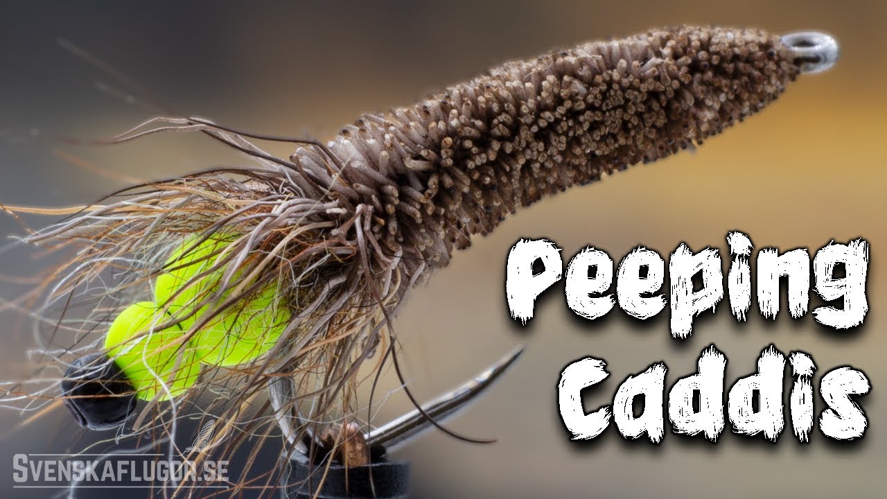Peeping Caddis | Flugbindning | Svenskaflugor.se