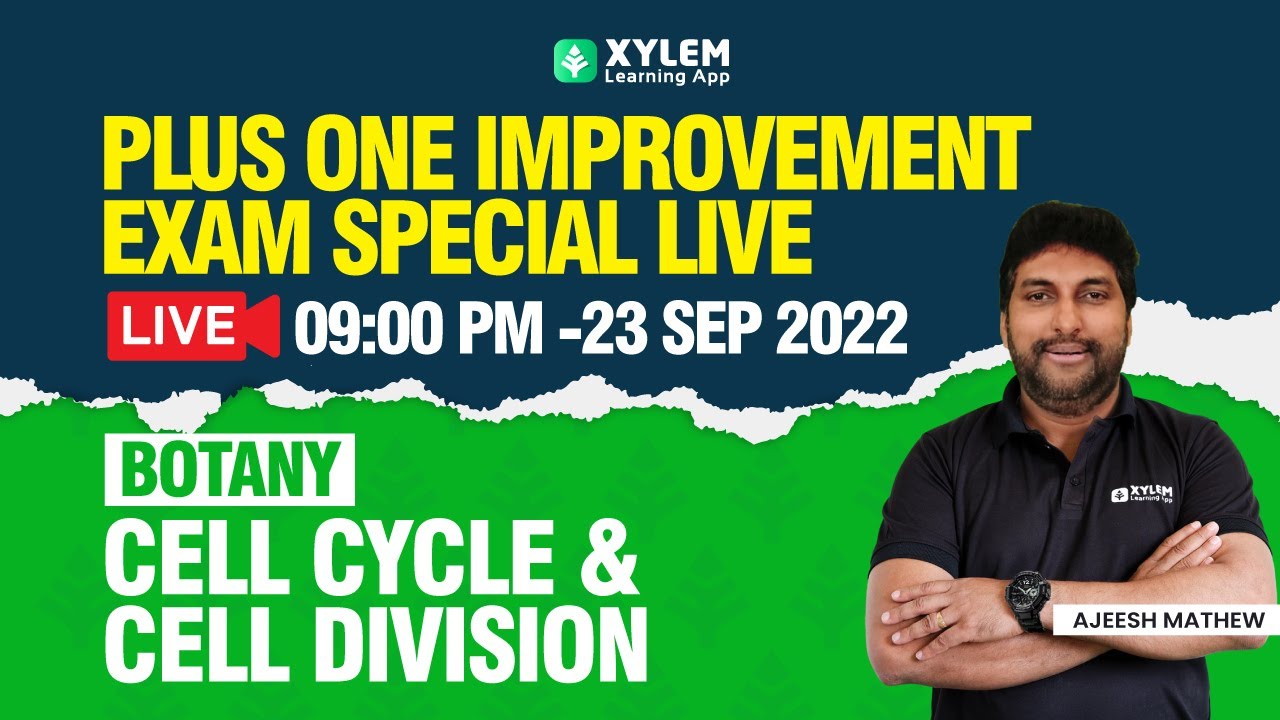 Synthesis Definition Biology Cell Cycle