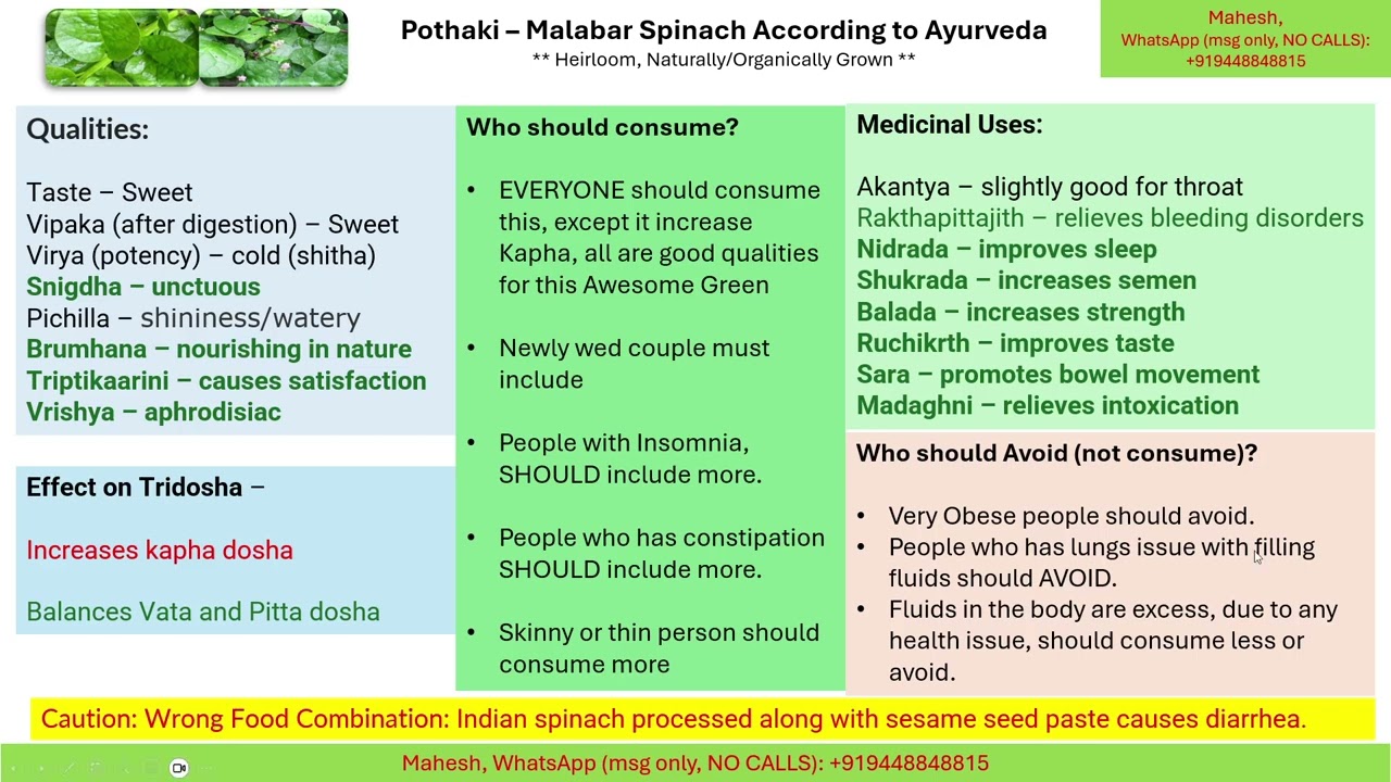 Pothaki | Malabar Spinach - Ayurveda Answer Anti-Aging | Good Sleep | Diabetes | Constipation & More