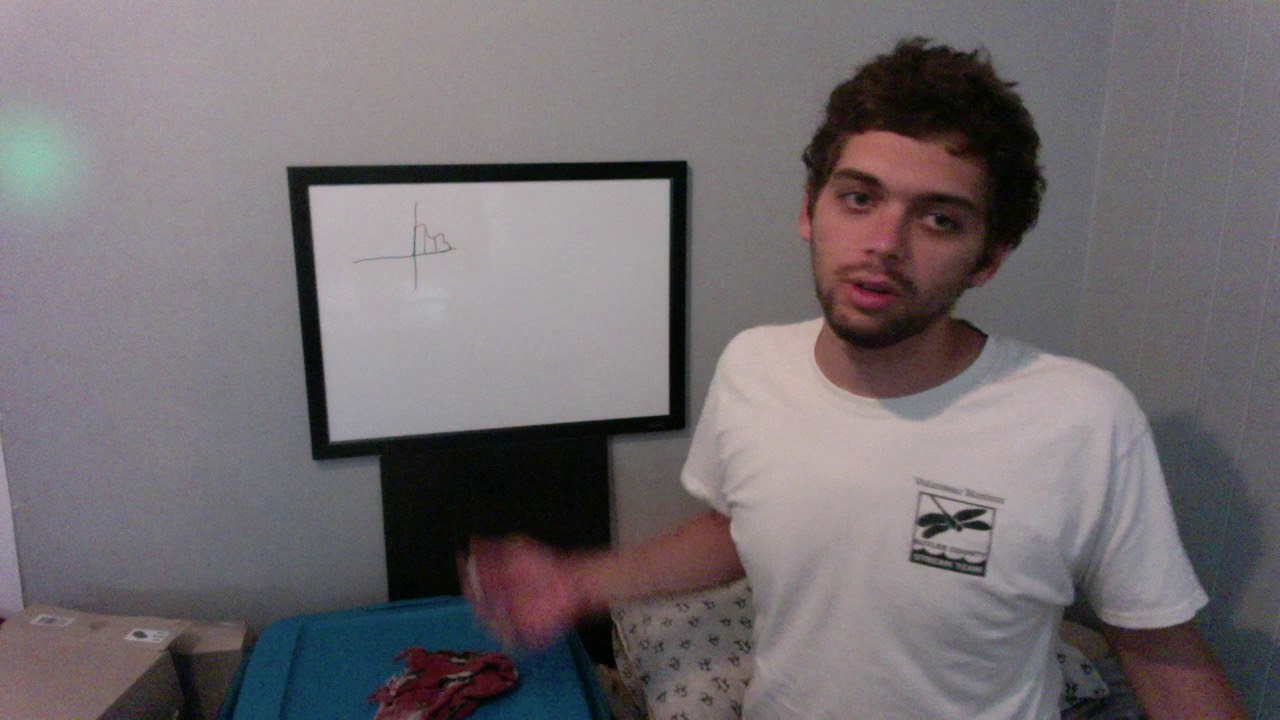 area under the curve integration in calculus introduction