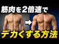【2026年最新版】筋肉を2倍速くデカくする方法
