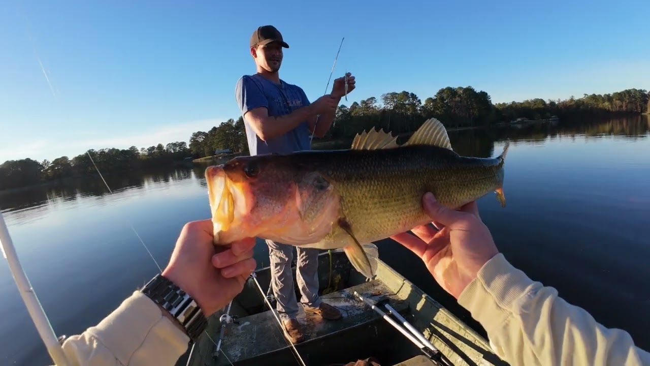 Fishing for schooling largemouth bass