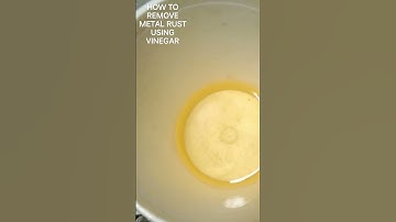 DIY USING VINEGAR TO REMOVE METAL RUST