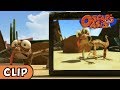 Oscar's Oasis - Picture Day | HQ | Funny Cartoons