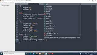 Text Mirror effect HTML & CSS