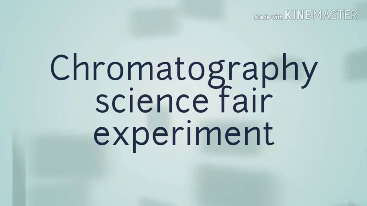 Chromatography science fair project for kids school YouTube