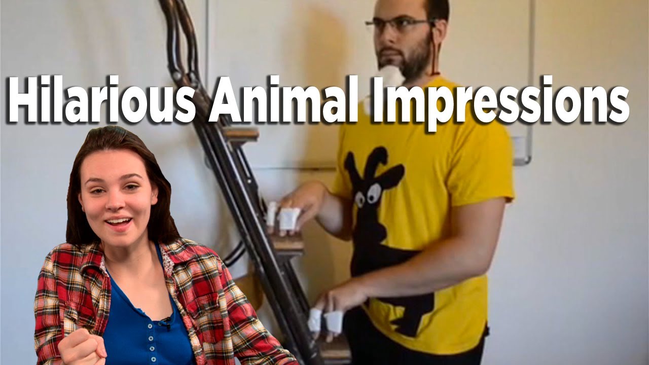 52 Animal Impressions Can You Guess Them? Soren's Playlist YouTube