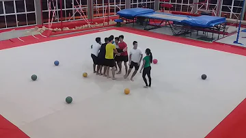 Como é uma apresentação de ginástica para todos *?