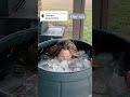 125 DAYS OF DISCIPLINE! #daily #icebath #coldplunge #shorts #icequeen