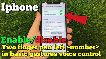 How to enable or disable two finger pan left number in basic gestures voice control on iPhone X