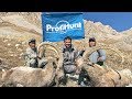 MID ASIAN IBEX HUNTING IN KYRGYZSTAN WITH PROFIHUNT 2018