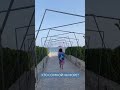 Средиземное морюшко ждёт любителей бархатного сезона🏝️