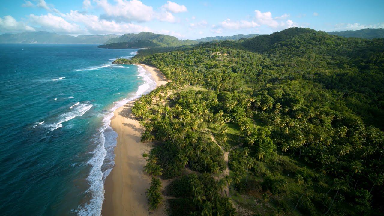 Come Daydream With Us | Go Dominican Republic 4K - YouTube