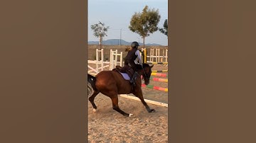 This is how the air vest works 🤓💪🏻 #equestrian #gilaryeq #horse #showjumping #girlrider #fy #fyp