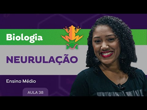 Neurulação - Biologia - Ensino Médio