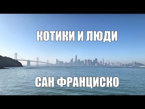 Video: Štai Ką Veikti Su Diena San Fransiske, Kalifornijoje