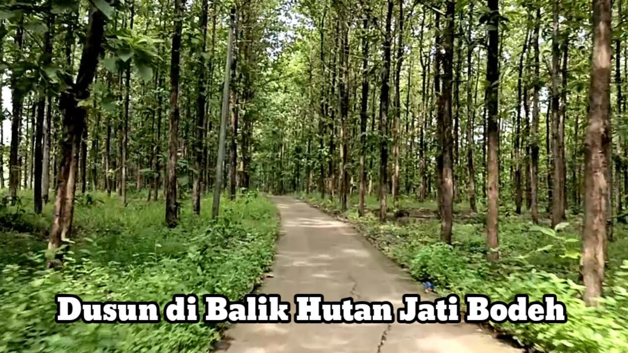 Perjalanan ke Dusun Terpencil di Bodeh Pemalang