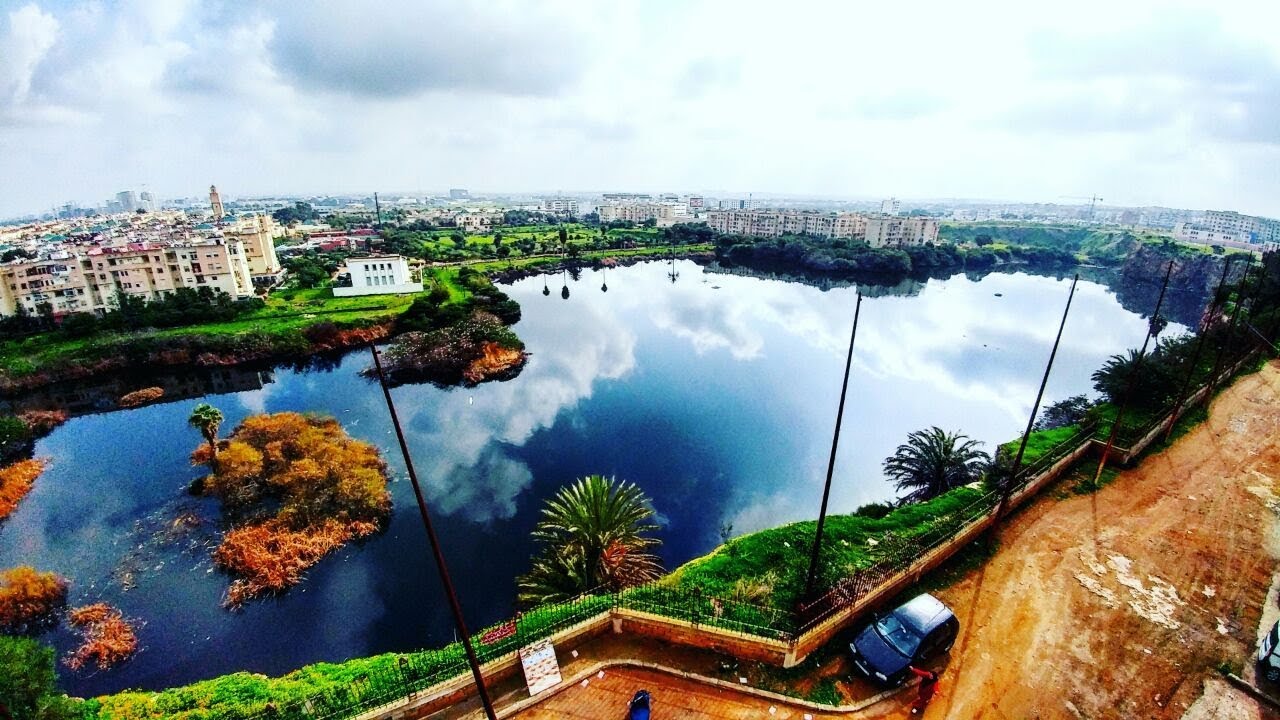 معاناة سكان حي الفردوس بالولفة مع الروائح المنبعثة من البركة المائية