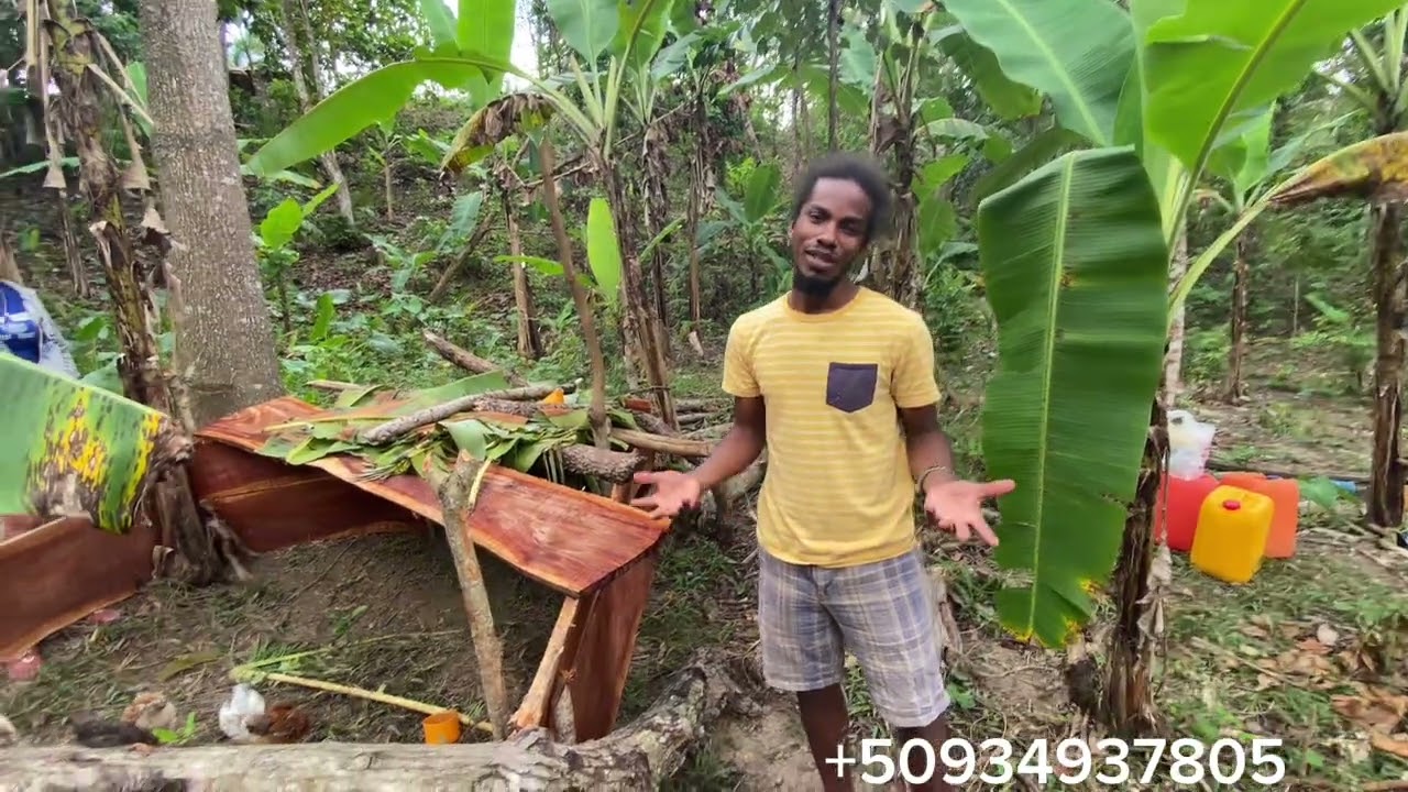 Gade yon ti projè Armelle ak Macus genyen malgre yopa gen mwayen