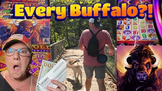 Harrahs Cherokee Valley River HAS OUR ATTENTION 🦬 | River Walk, Local Eats & Every BUFFALO DAY