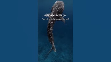 الشيخ أحمد العجمي  #قرآن #اكسبلور #explore #قران_راحة_نفسية #قران_كريم #سورة_الرحمن