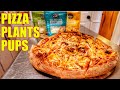 3 Cheese Pizza | Plant Tour & SEASPIRACY  | 25+ Yr Vegan VLOG