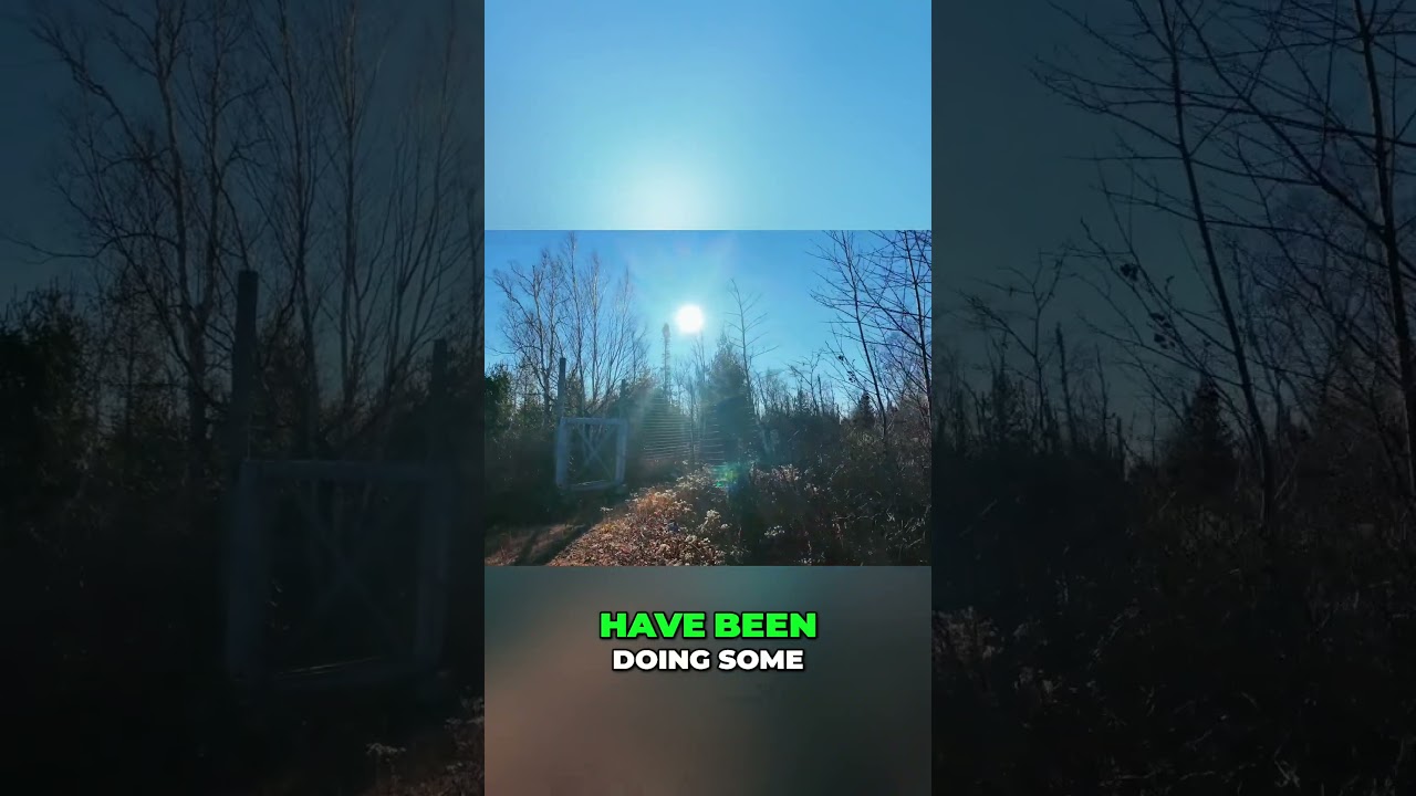 Туристы обнаружили таинственный забор и охраняемые молодые деревья!