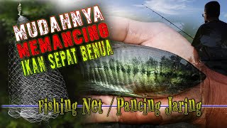 Download Lagu MUDAH DAN MURAH | Pancing Jaring | Fishing Net MP3