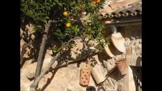 Mallorca in spring - Waltz for classical guitar