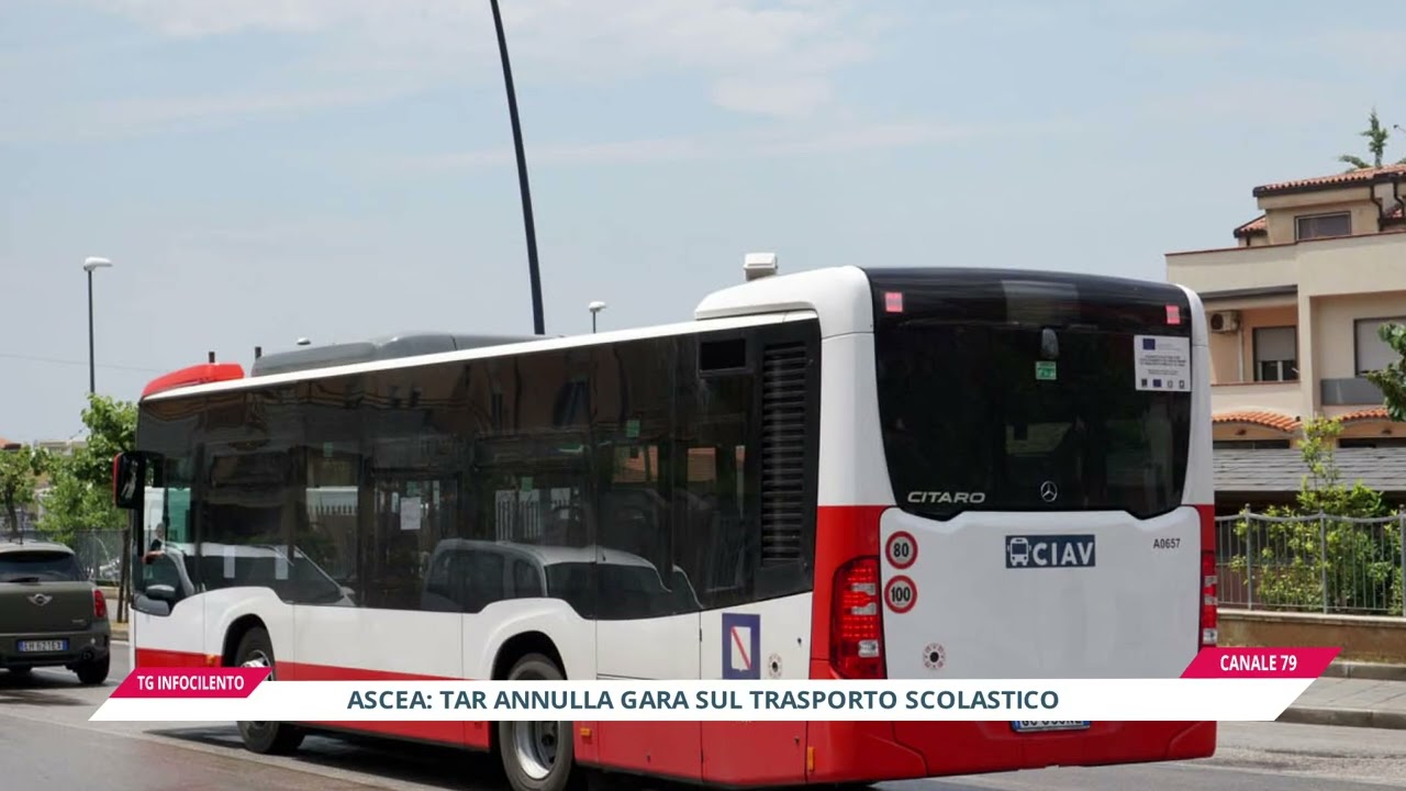 Scuolabus ad Ascea, il Tar annulla l'appalto: affidamento revocato e nuovo gestore