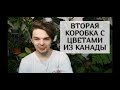 НОВИНКИ Получил ещё коробку с цветами и Подарки с КАНАДЫ