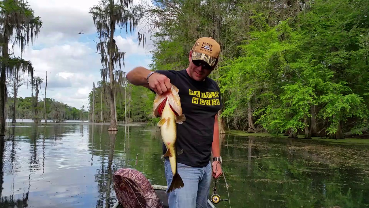 Monster Bass on frog at the Mill Pond
