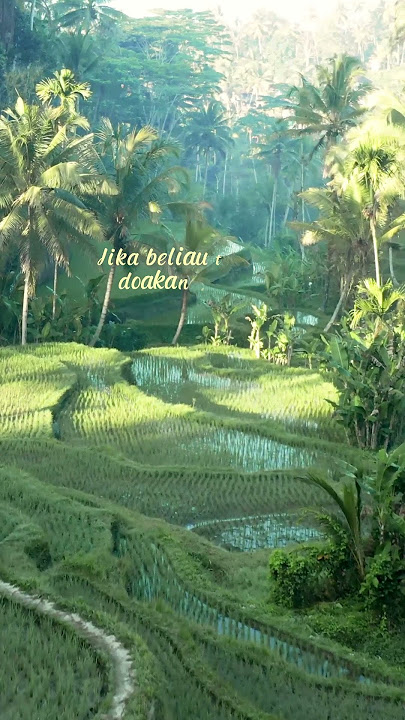 Bakti kepada orang tua,  menggapai ridha Allah | #nasihat #tafakkur #doa #shortvideo