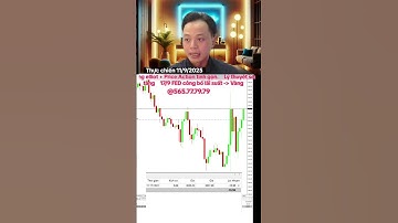 Thực chiến 11/9/2025 Tót tắt phiên livestream và tổng kết lợi nhuận.
