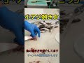 小アジの捌き方！フライ用開き#shorts #short #fish #japan #new #おすすめ #簡単 #チャレンジ #楽しい #美味しい #料理 #釣り #ミッション #最新