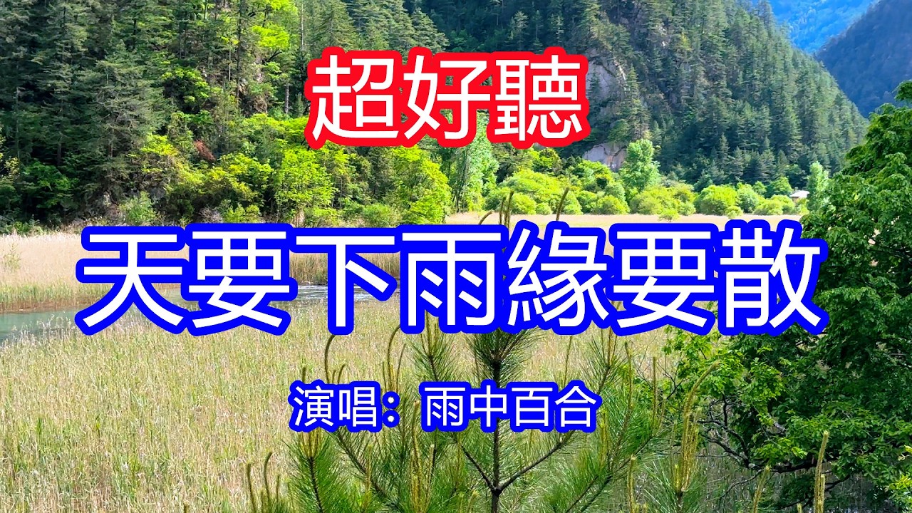 天呀！太好聽了，2月雨中百合超火傷感情歌《天要下雨緣要散》，不願分手不願成遺憾，愛你的我已哭紅了雙眼！讓你一聽就忘不掉的催淚神曲，唱的撕心裂肺，聽得痛哭流涕！九寨溝風景！傷感情歌！療癒情歌！