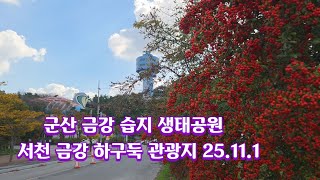 금강습지생태공원 갈대습지 영상