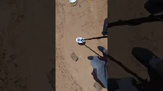 Gold monster 1000 وحش الذهب screenshot 5