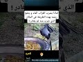 لماذا يشرب الغراب الماء ويضع ريشه حيث يشرب صلو على النبي لايك اكسبلور ترند