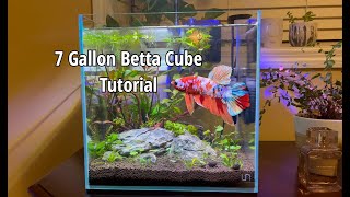 7 Gallon Betta Cube Tutorial