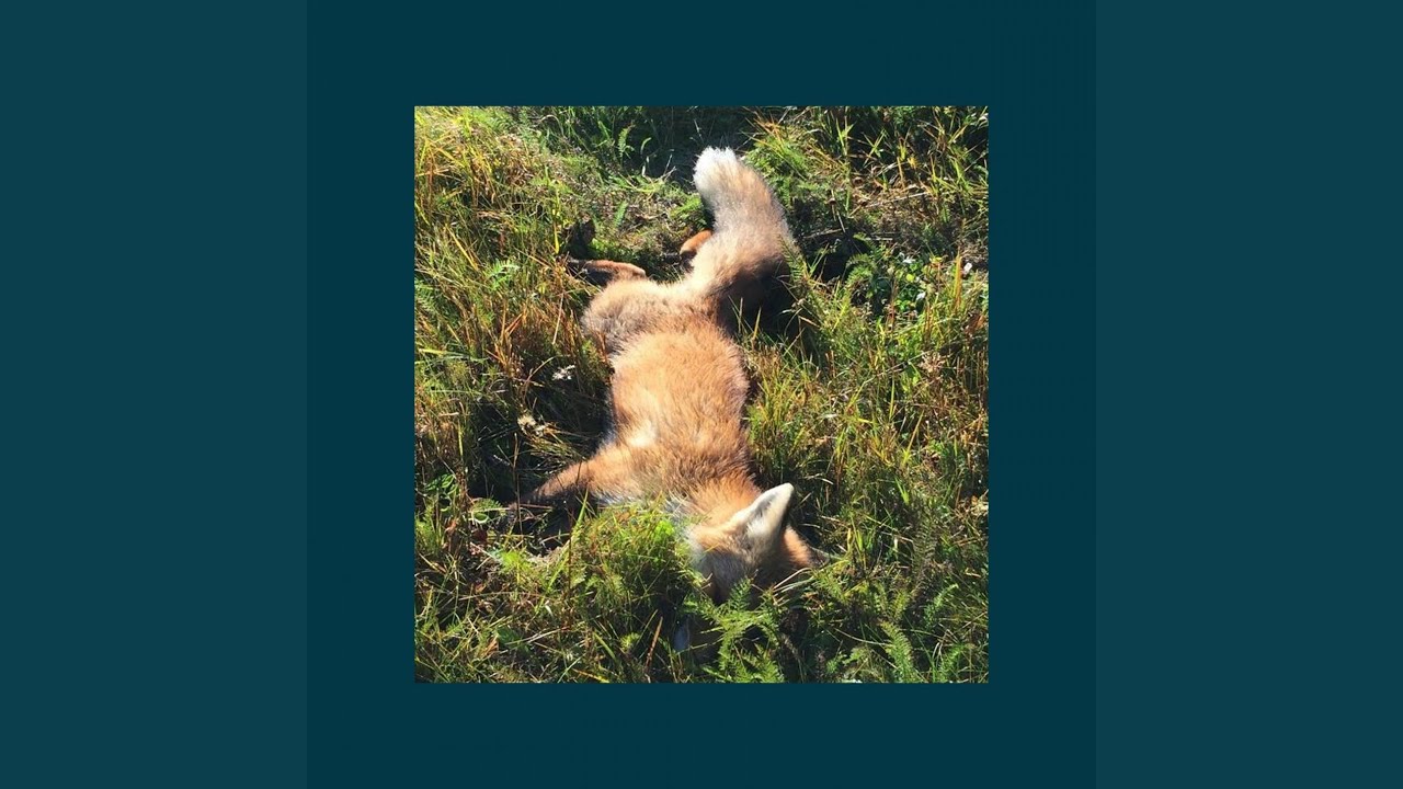 Guarda Days su YouTube Guarda Days su YouTube