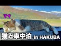 【猫と車中泊】感動的な白馬岳の朝焼け。就寝中のマサや車中飯の様子をお楽しみ下さい!