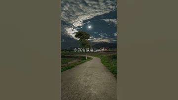 سورة النبأ بصوت المنشاوي